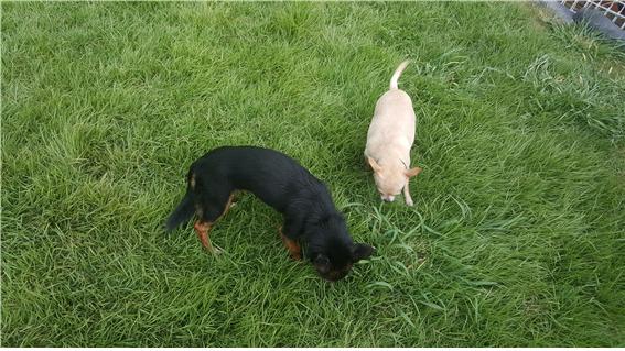 가인이 피서다녀왔어요^^