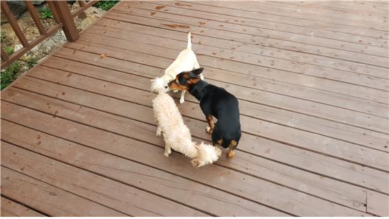 가인이 피서다녀왔어요^^