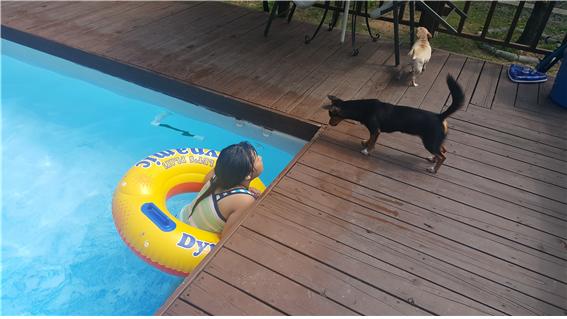 가인이 피서다녀왔어요^^