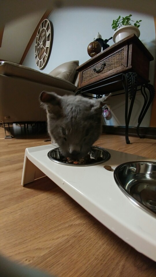 가을이가 왔어요^^