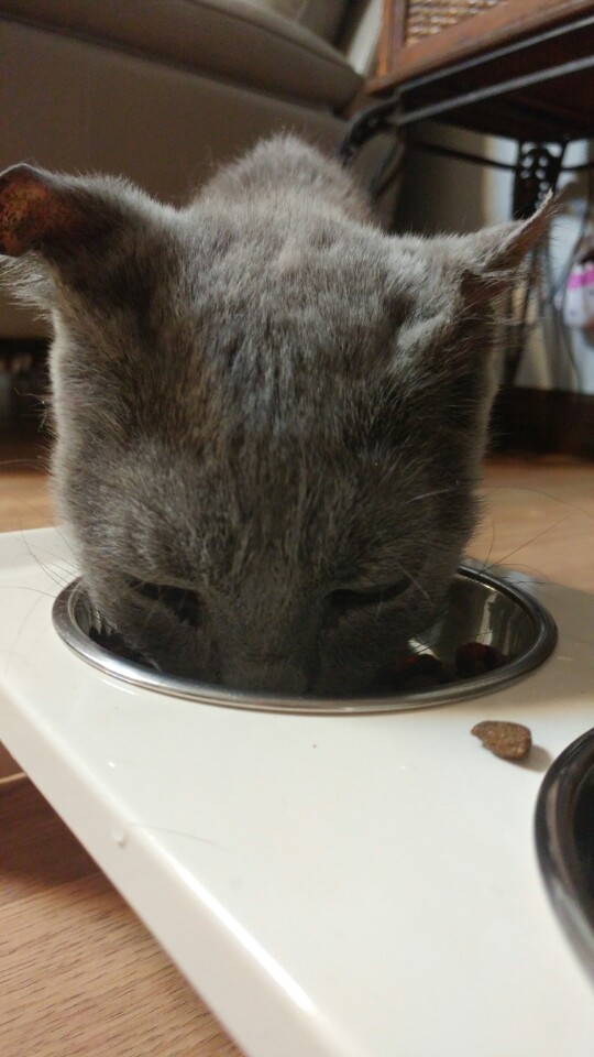 가을이가 왔어요^^