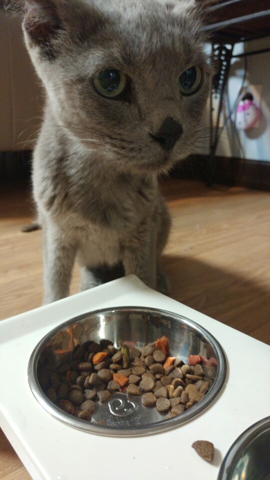 가을이가 왔어요^^