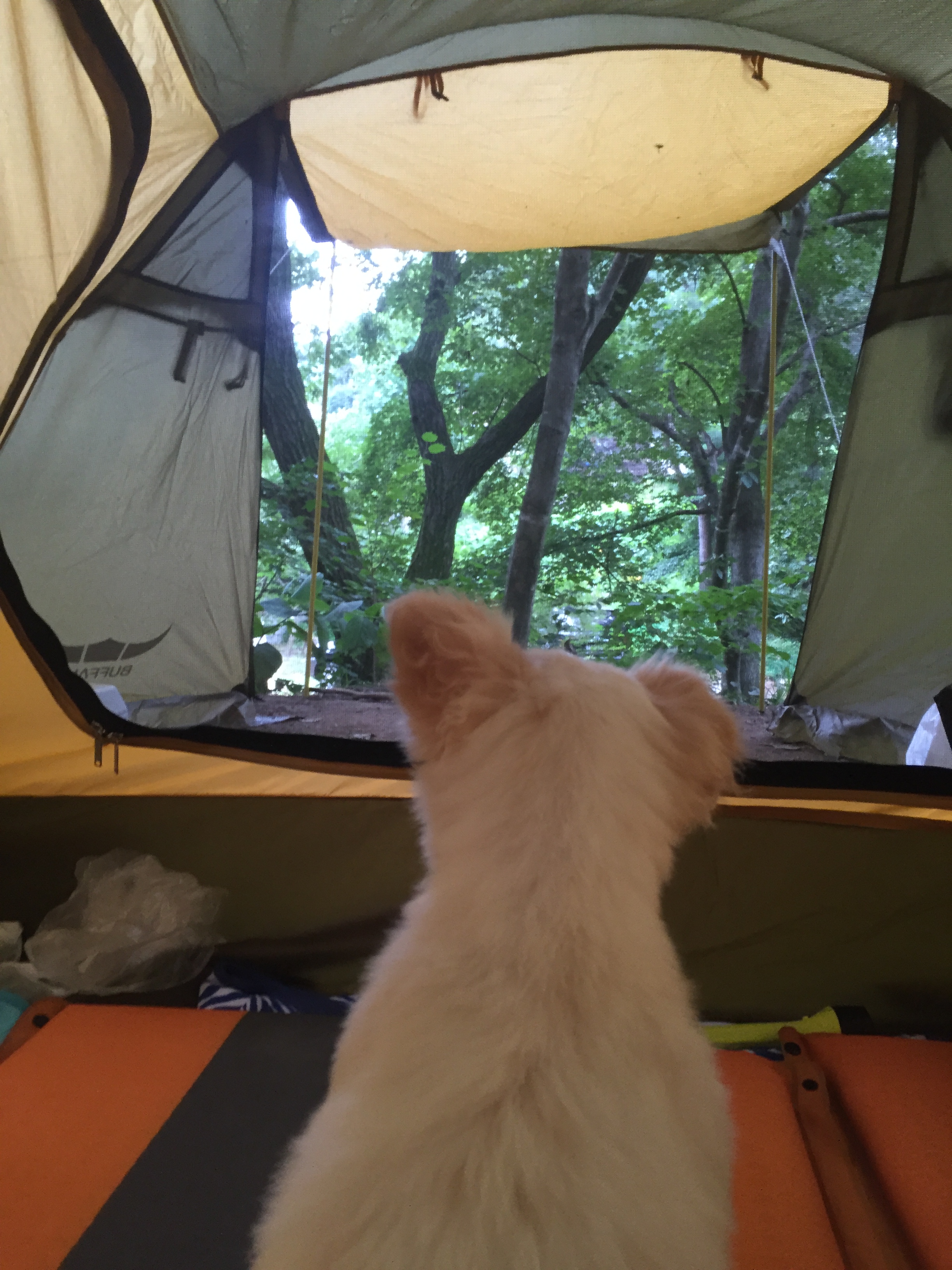 셔리 캠핑 다녀왔어요~~