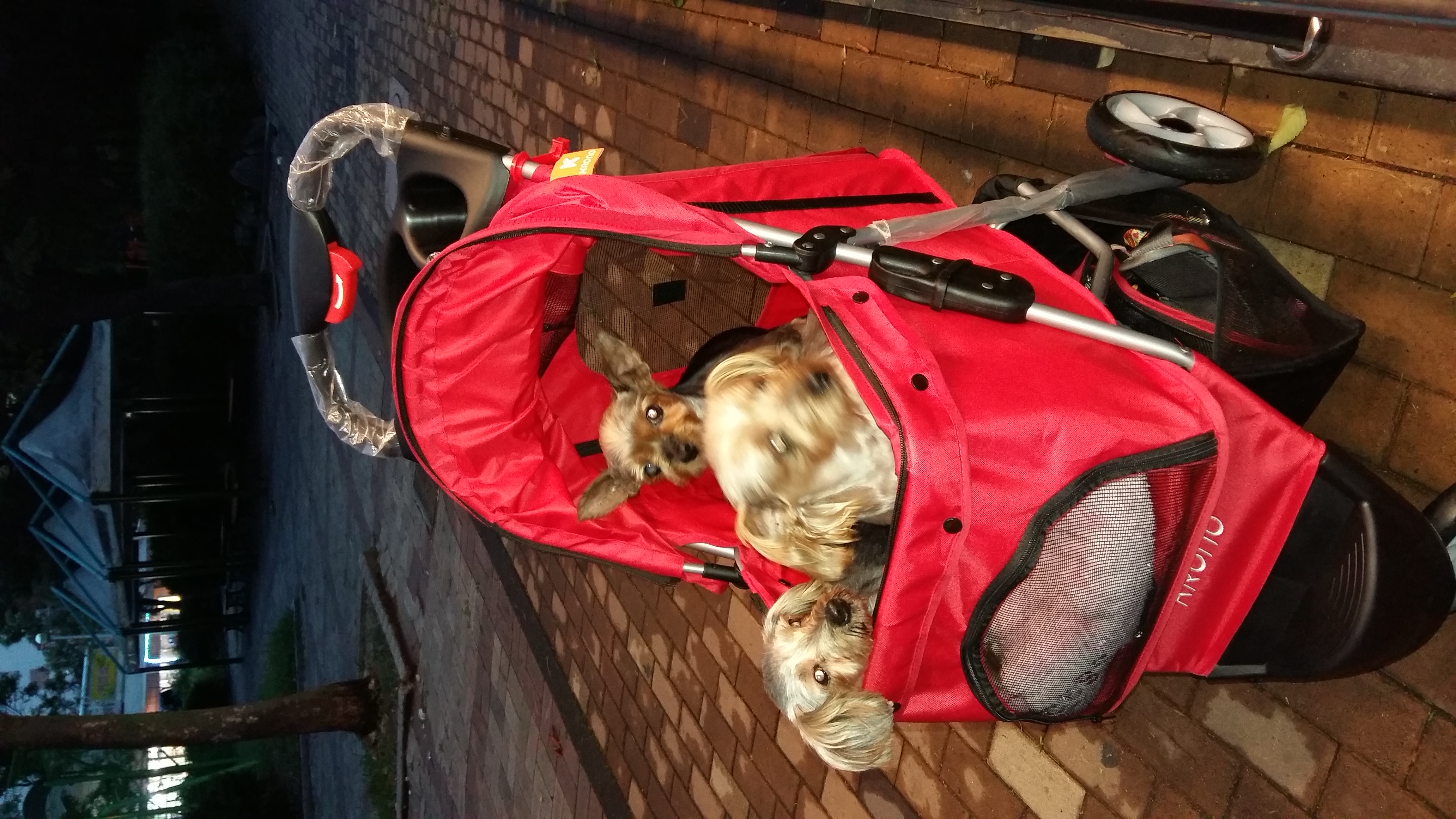 티파니(밤이), 샤넬(슈가) 소식이에요!