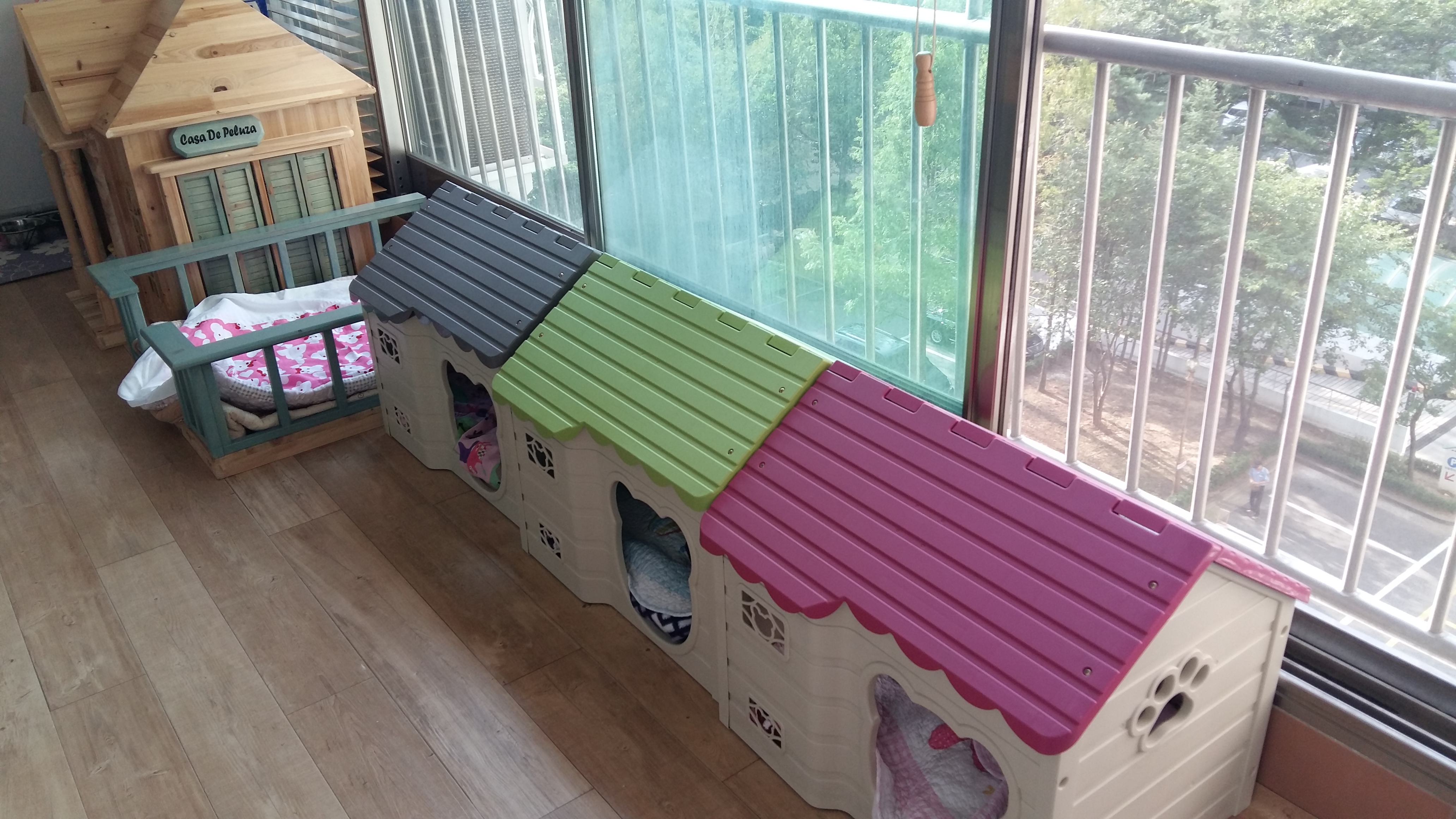 티파니(밤이), 샤넬(슈가) 소식이에요!