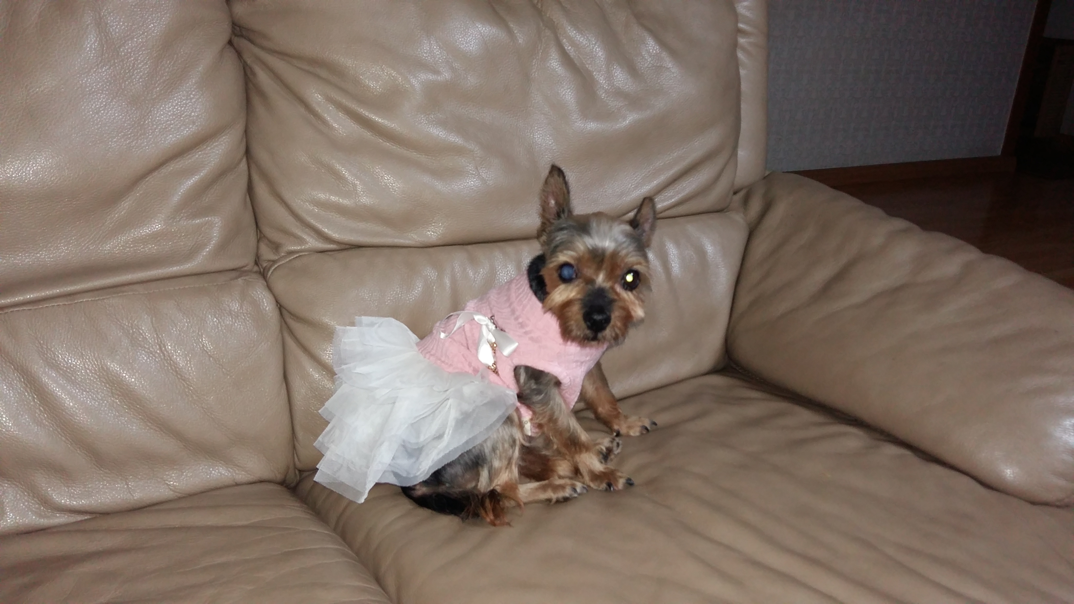 티파니(밤이), 샤넬(슈가) 사진첨부