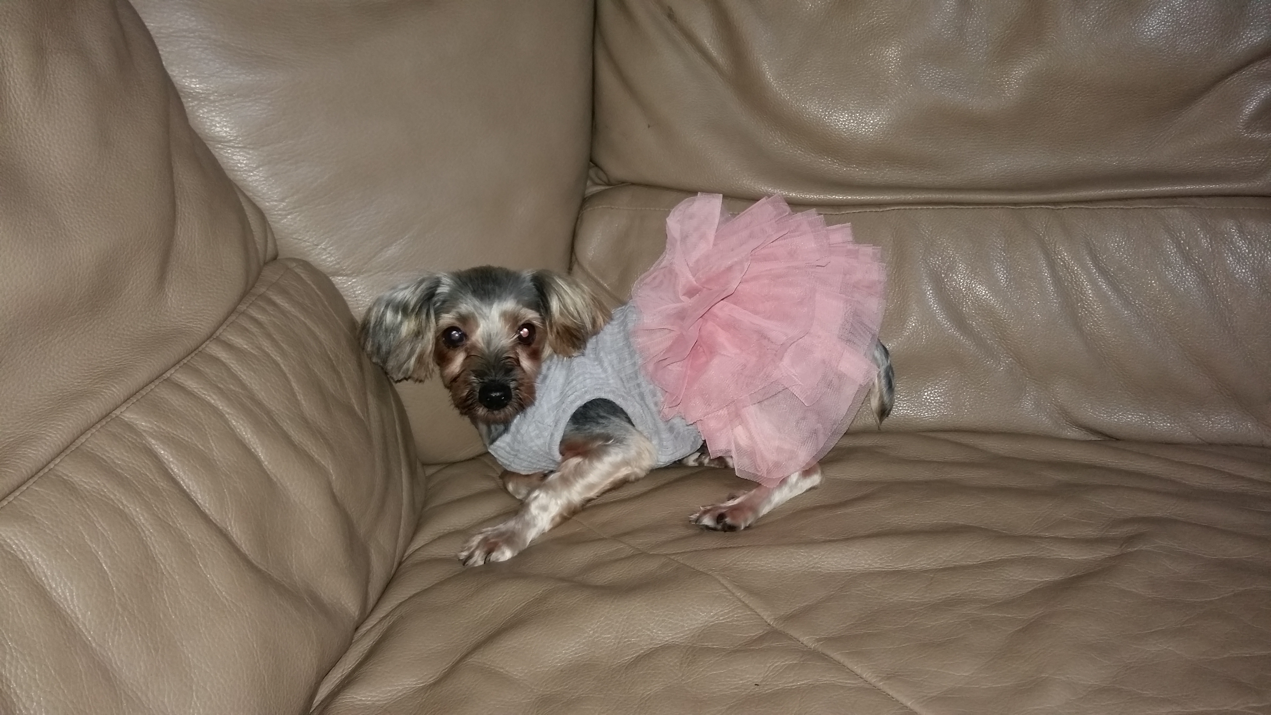 티파니(밤이), 샤넬(슈가) 사진첨부