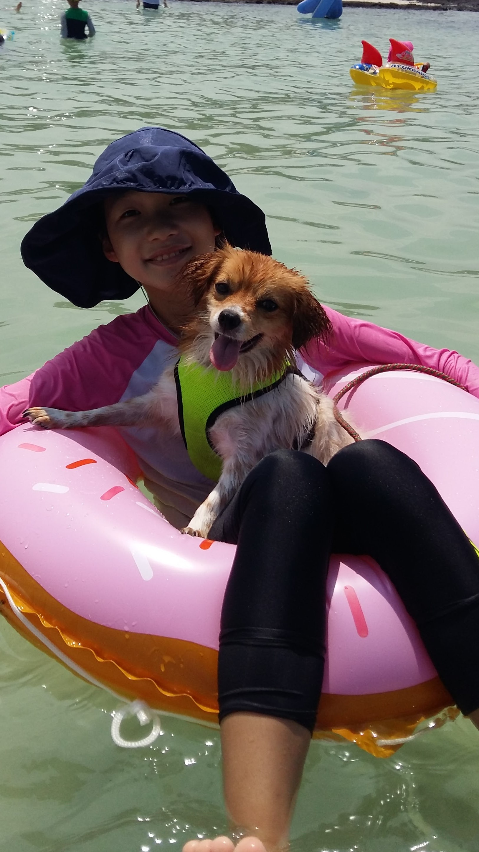 제주 콩이(가온) 첫 수영 했습니다.