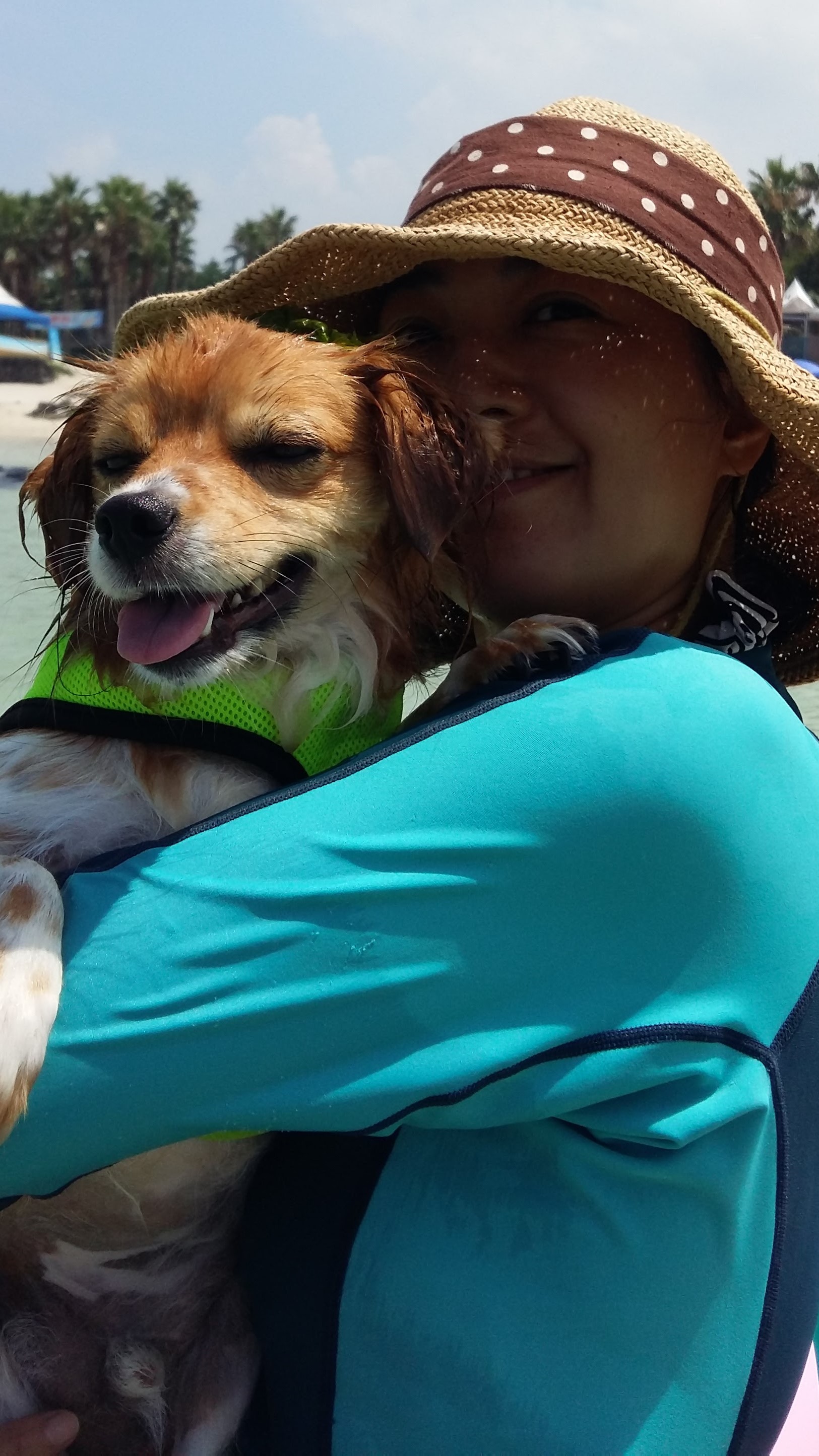 제주 콩이(가온) 첫 수영 했습니다.