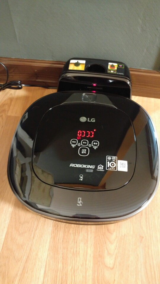 가을이=깔이 입양후기(3)