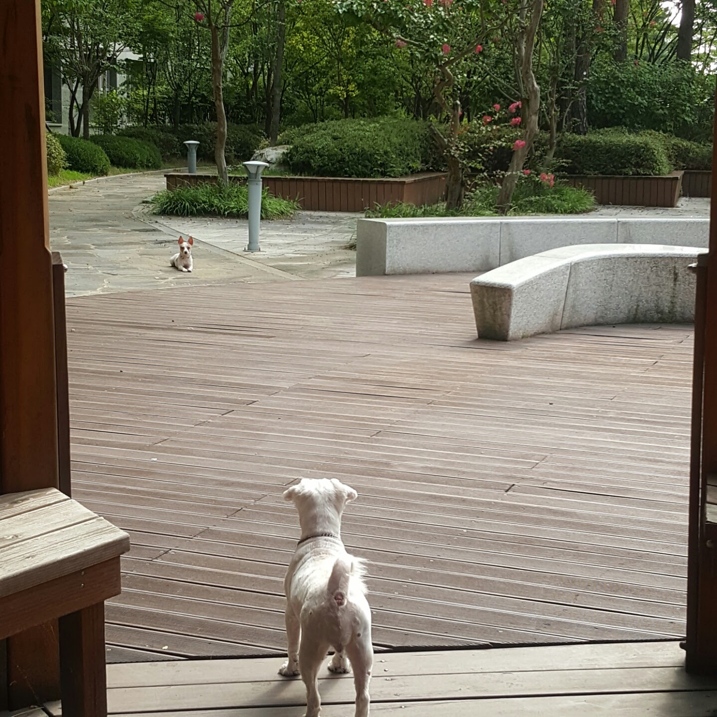 응가먹는 파프와의 한달