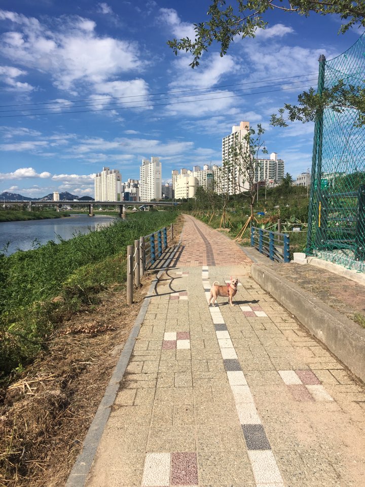 지지(다솜이) 오랜만에 인사드려요