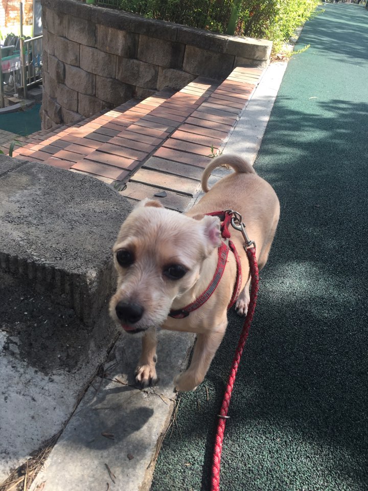 지지(다솜이) 오랜만에 인사드려요