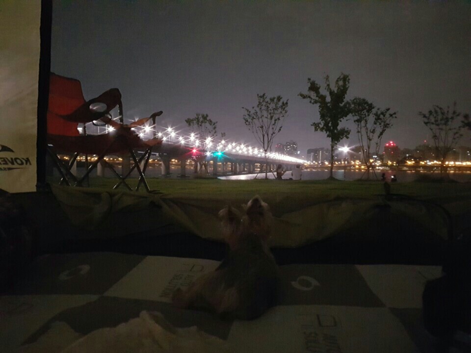 테리도 복지센터에 다녀왔어요~