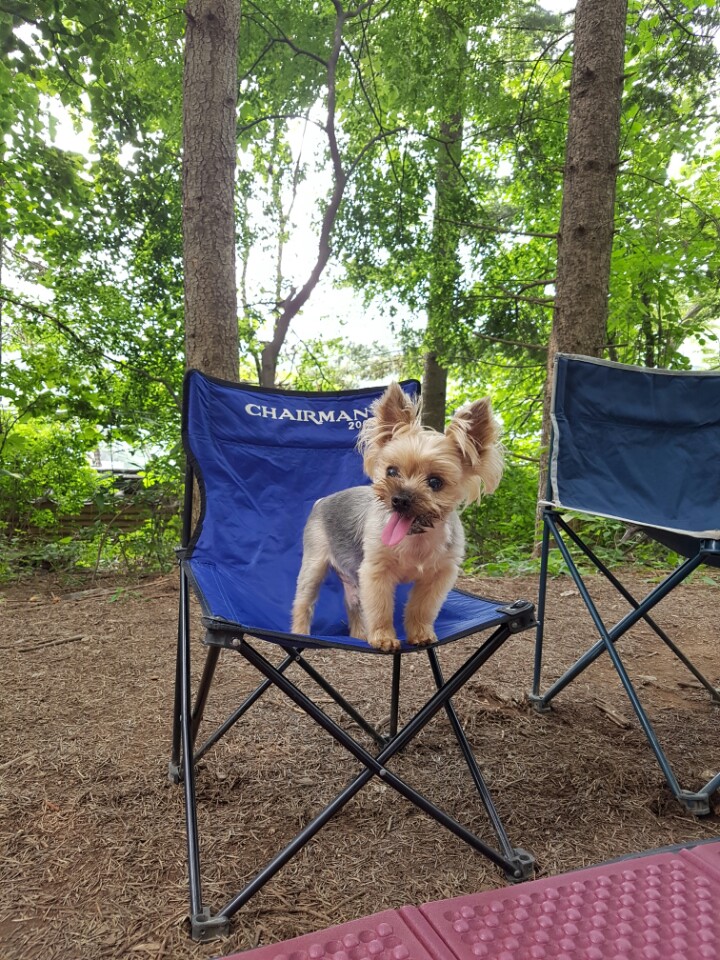 테리도 복지센터에 다녀왔어요~