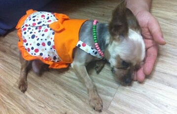 테리도 복지센터에 다녀왔어요~