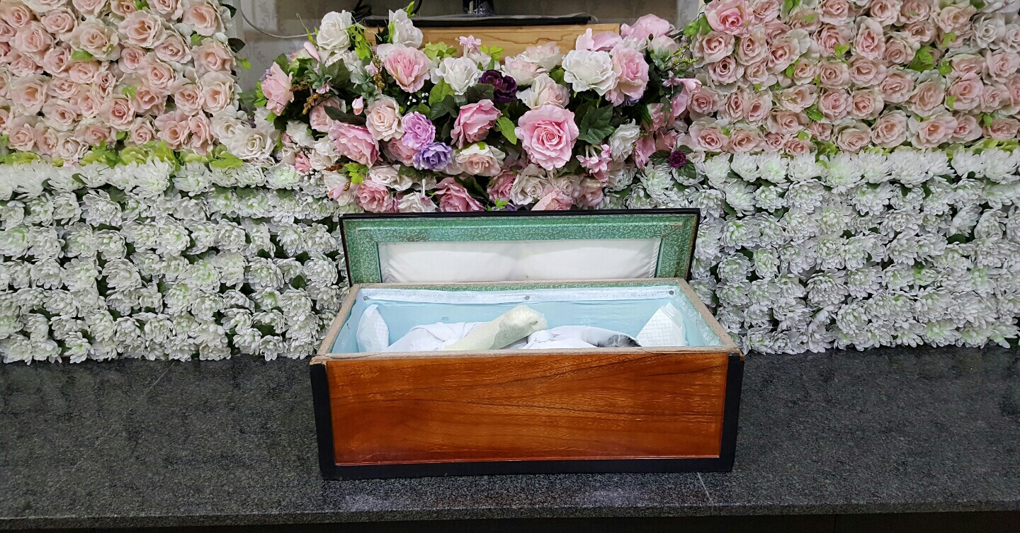 새벽에 별이 되어 떠난 똑똑이