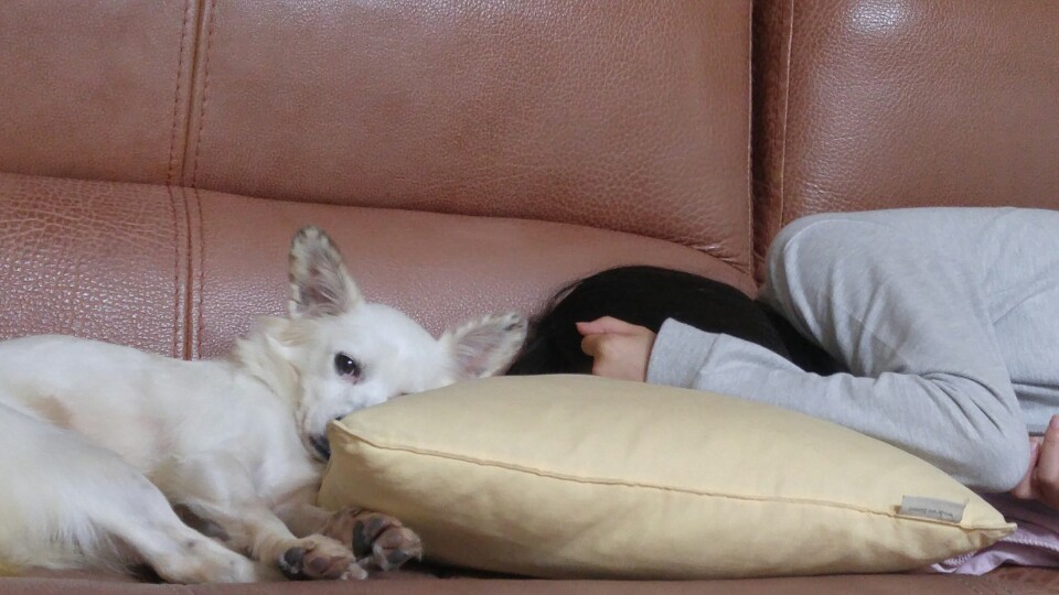 치즈 온지 일주일~~ 