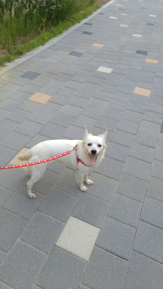 치즈 온지 일주일~~ 