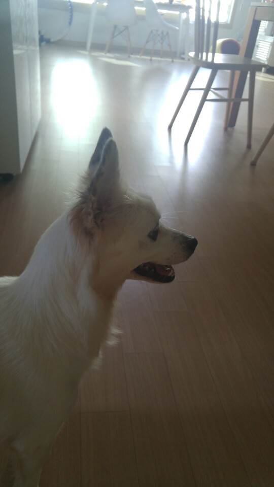 치즈 온지 일주일~~ 