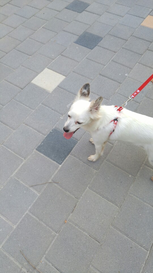 치즈 온지 일주일~~ 