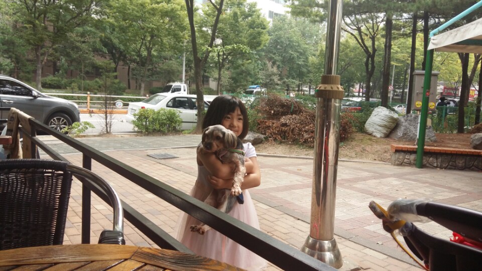 티파니(밤이), 샤넬(슈가) 소식입니다.