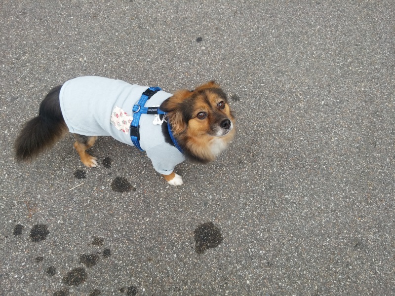 정왕이의 추석 나들이~♥