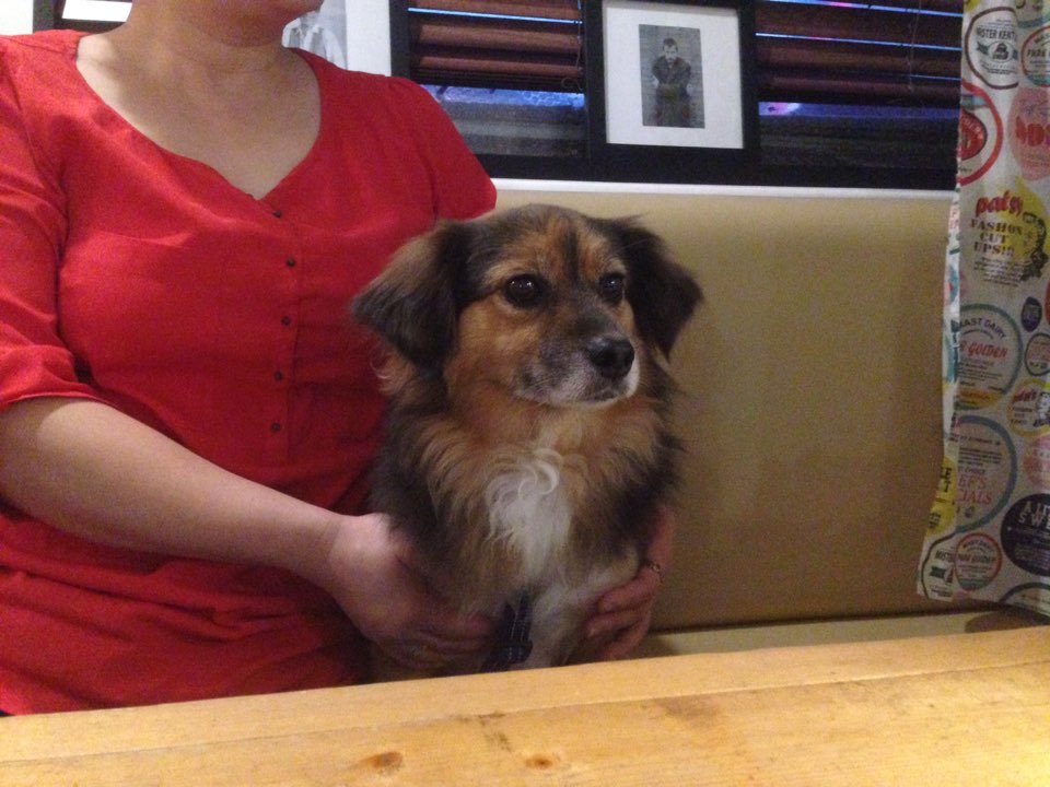 정왕이의 추석 나들이~♥