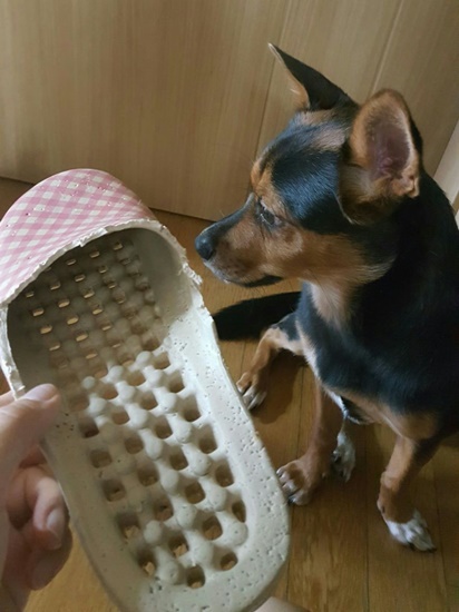 가인이 벌써 5개월이 다되가네요~^^