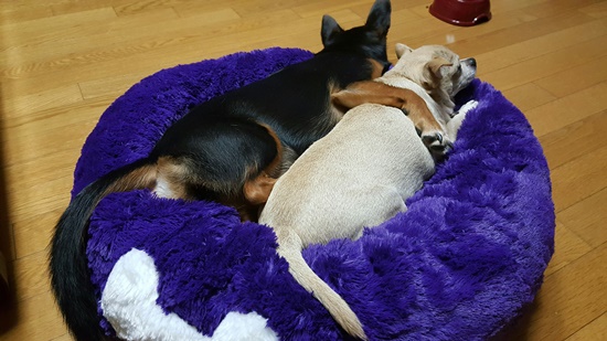 가인이 벌써 5개월이 다되가네요~^^