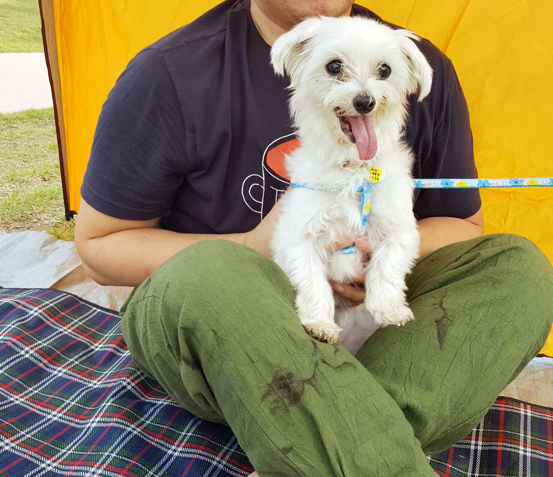 보름이 (청단이) 임보 한달 소식 전해요 ^^ 