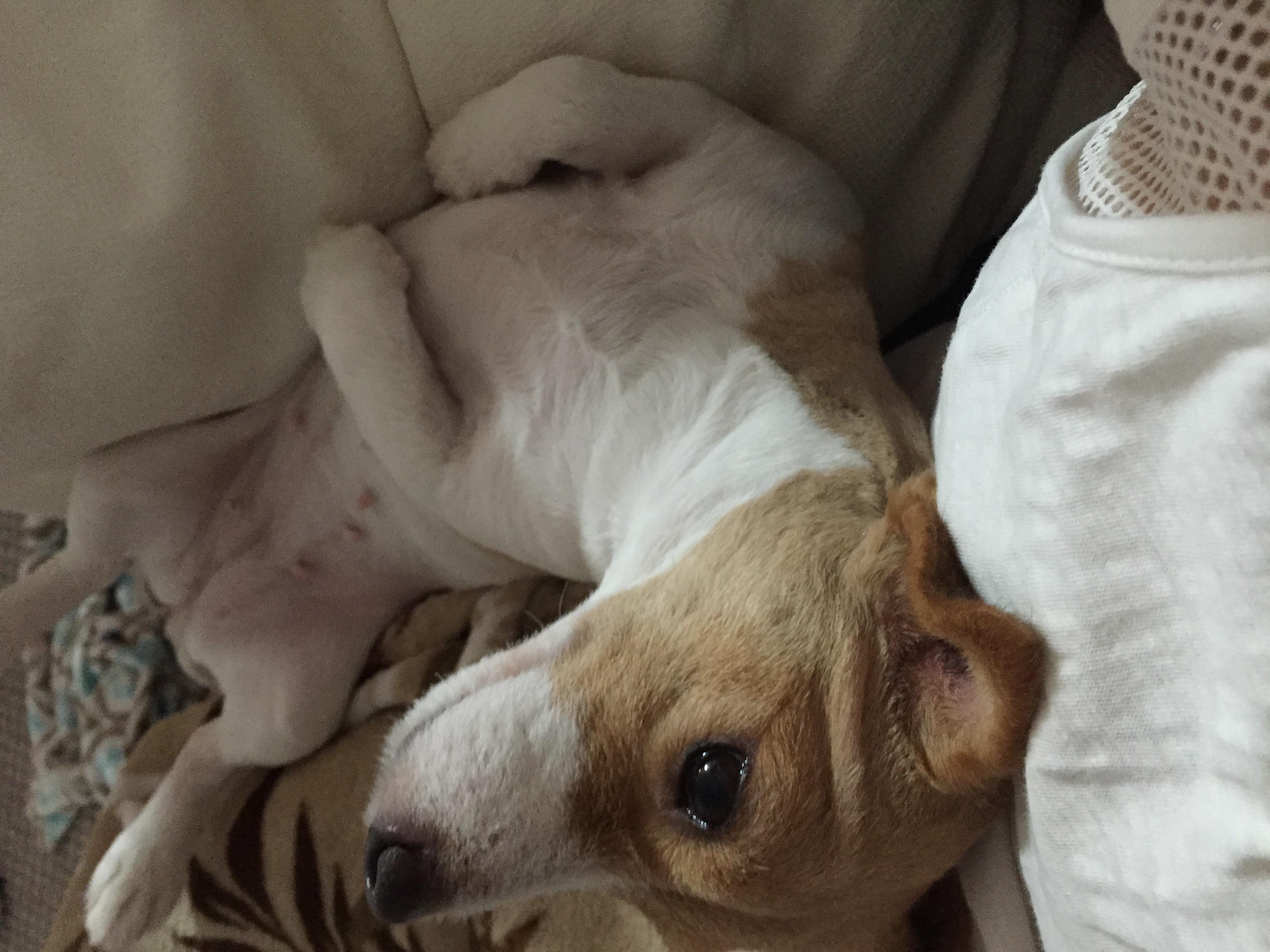 파슬리(별이)와의 운명적인 만남