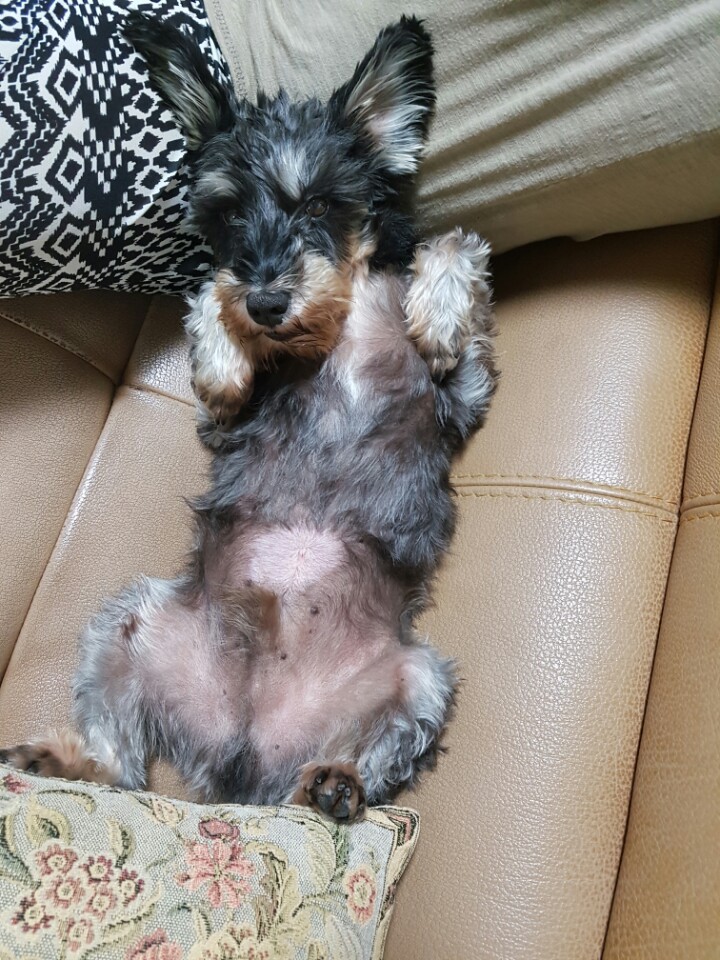 당근이 입양후입니다 ~