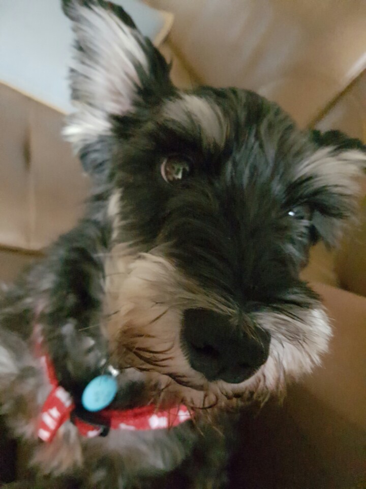 당근이 입양후입니다 ~