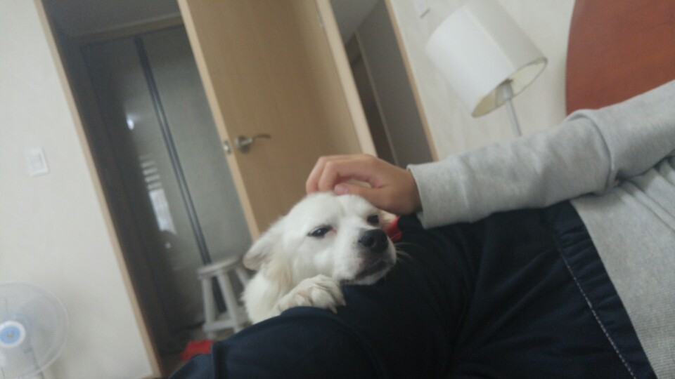 울  치즈 벌써 한달입니다~~^^ 