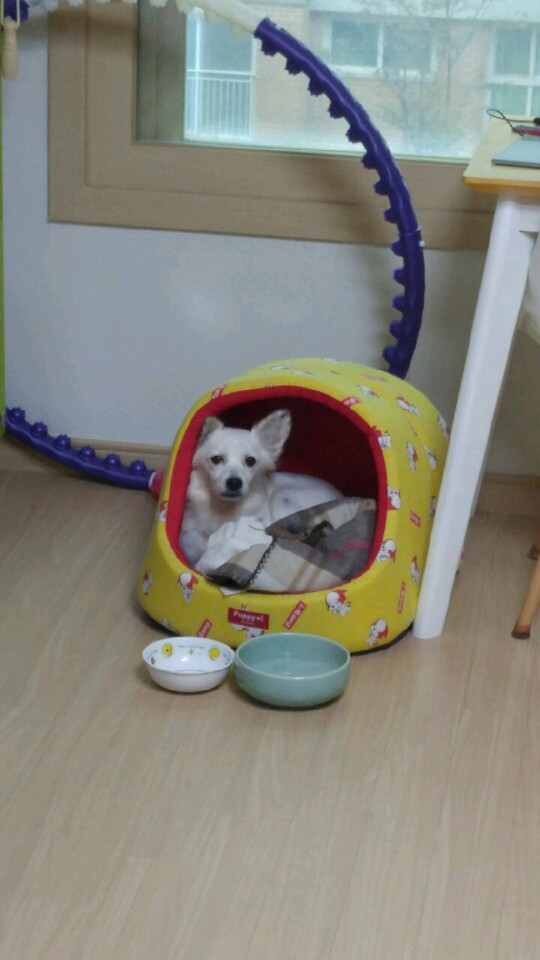 울  치즈 벌써 한달입니다~~^^ 