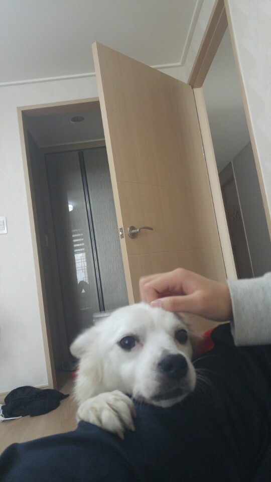 울  치즈 벌써 한달입니다~~^^ 