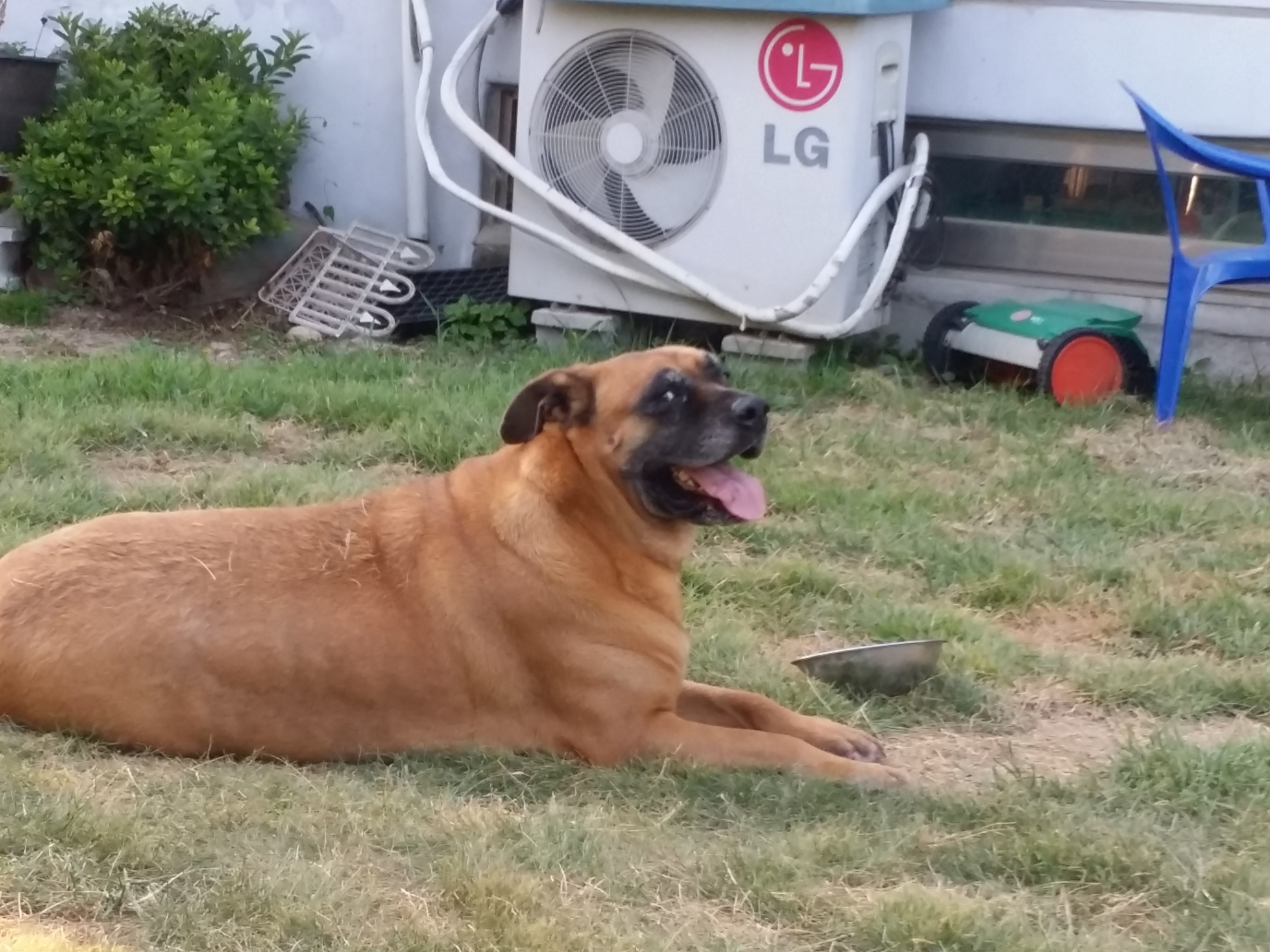 영심이 는 잘 지냈니다