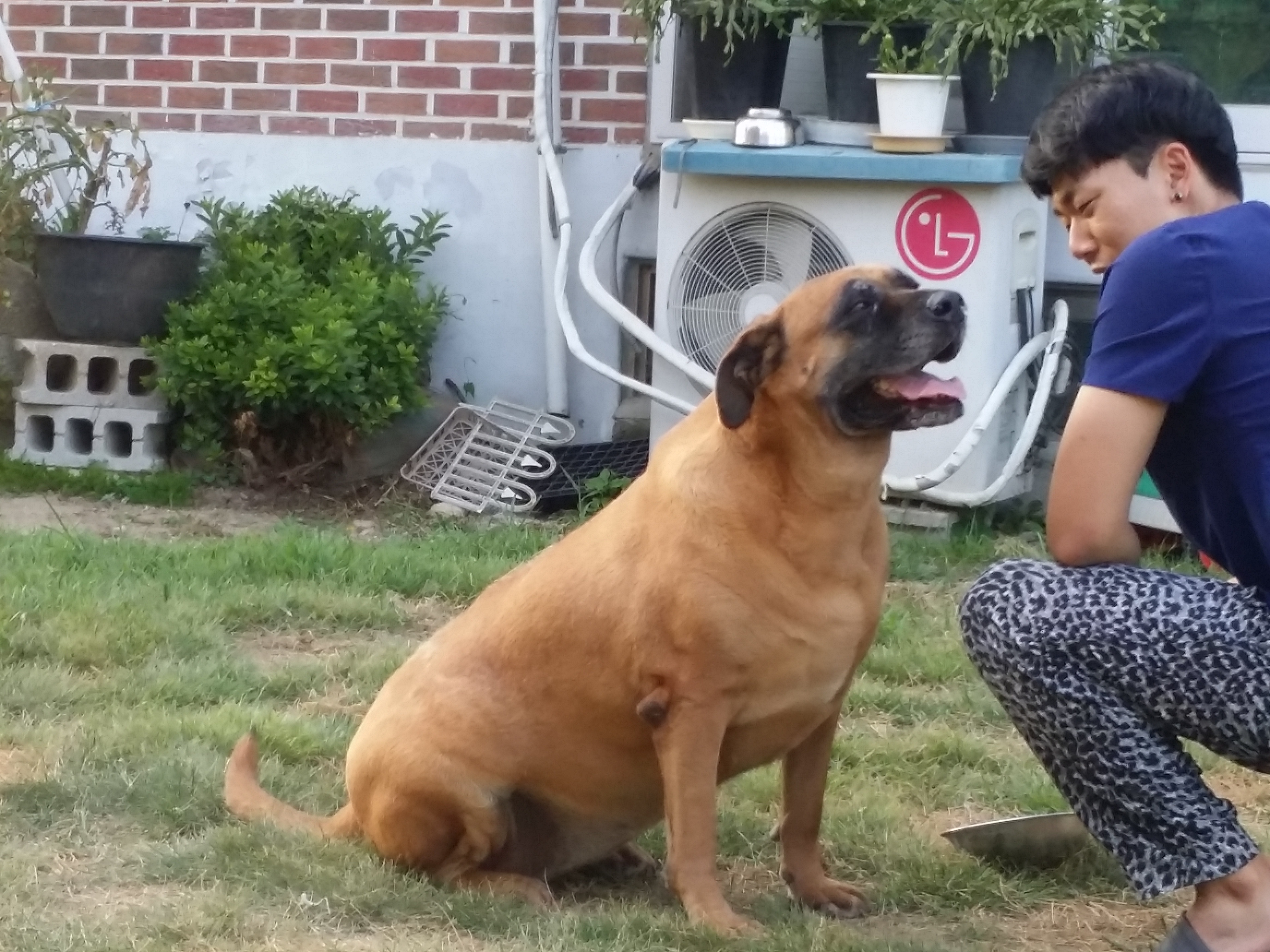 영심이 는 잘 지냈니다