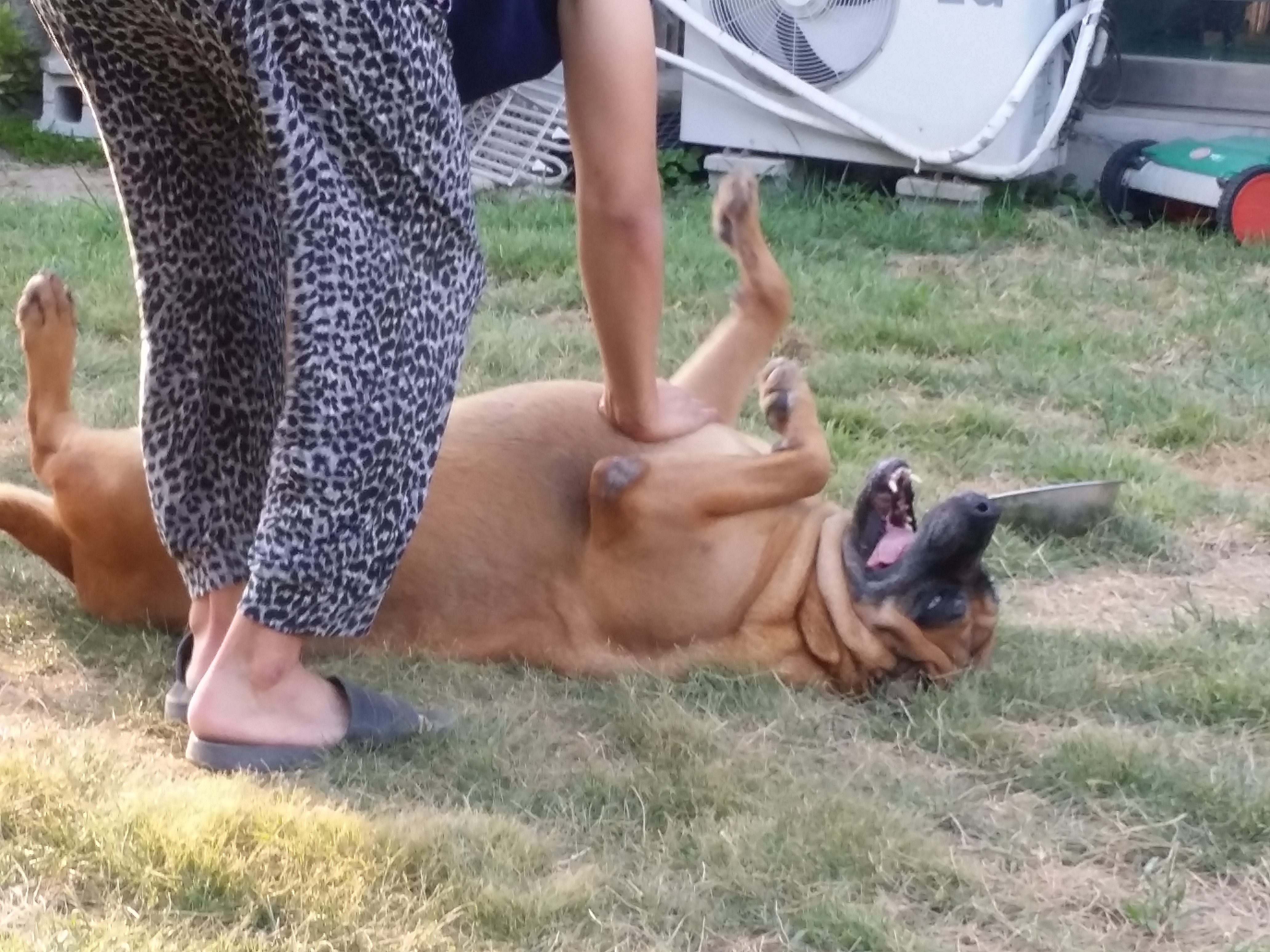 영심이 는 잘 지냈니다