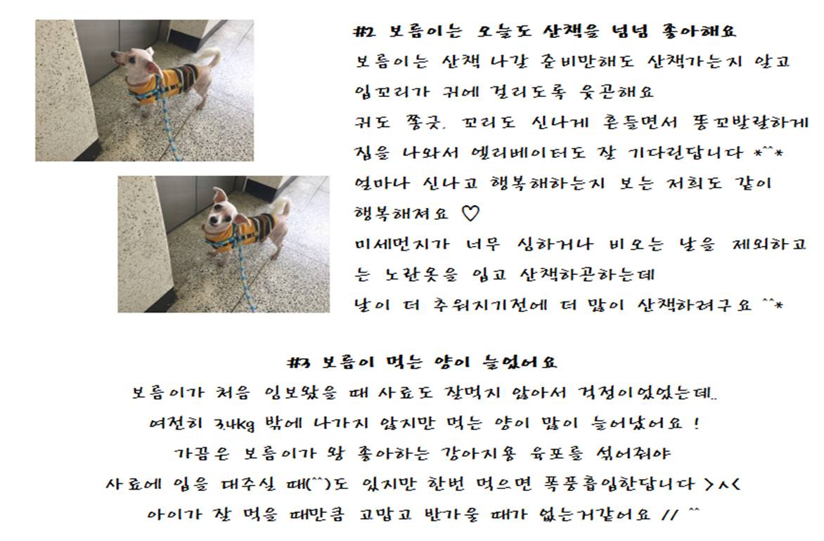 보름이(청단이) 임보일기 입니다 :)