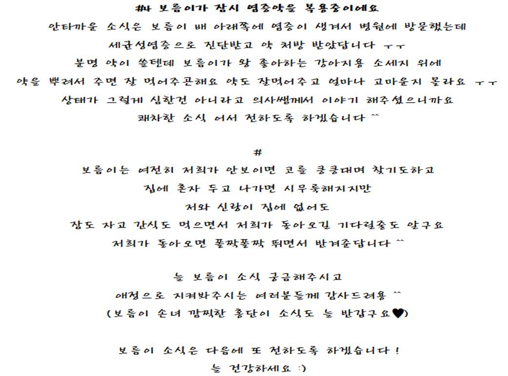 보름이(청단이) 임보일기 입니다 :)