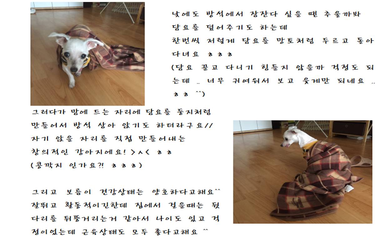 보름이(청단이) 임보일기 입니다 :)