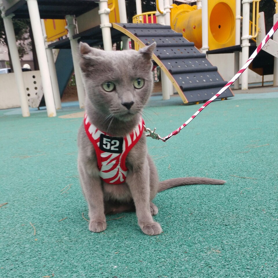 깔이(가을이)근황이에요^^