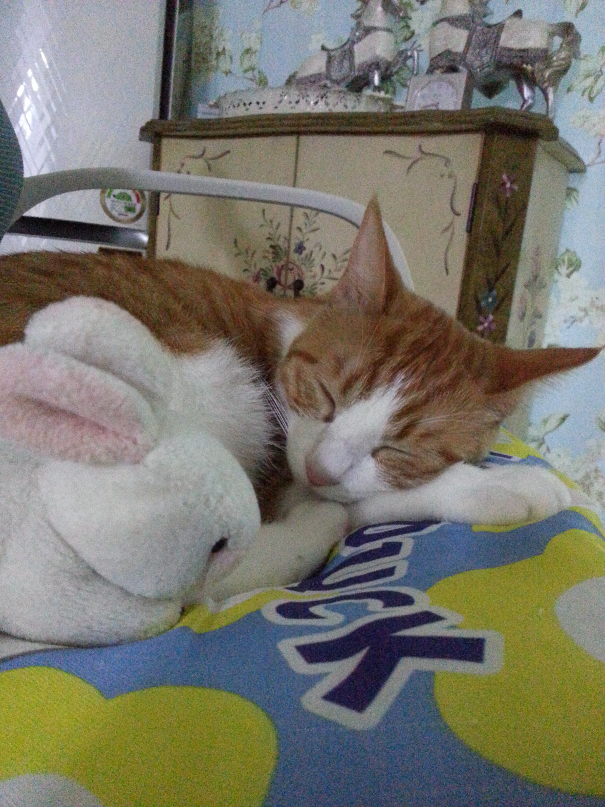 수피 오랜만에 인사드려요 ^^