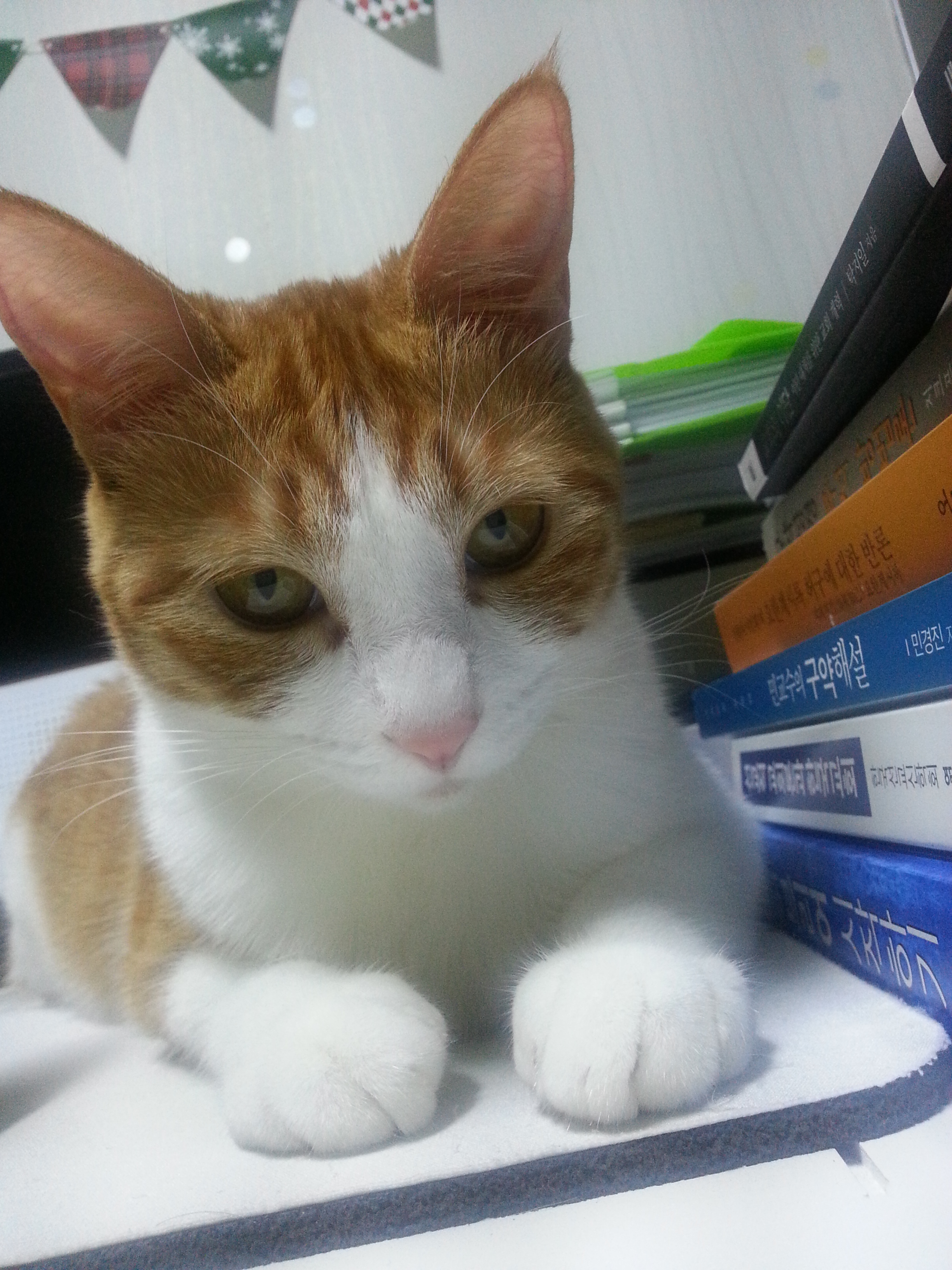 수피 오랜만에 인사드려요 ^^