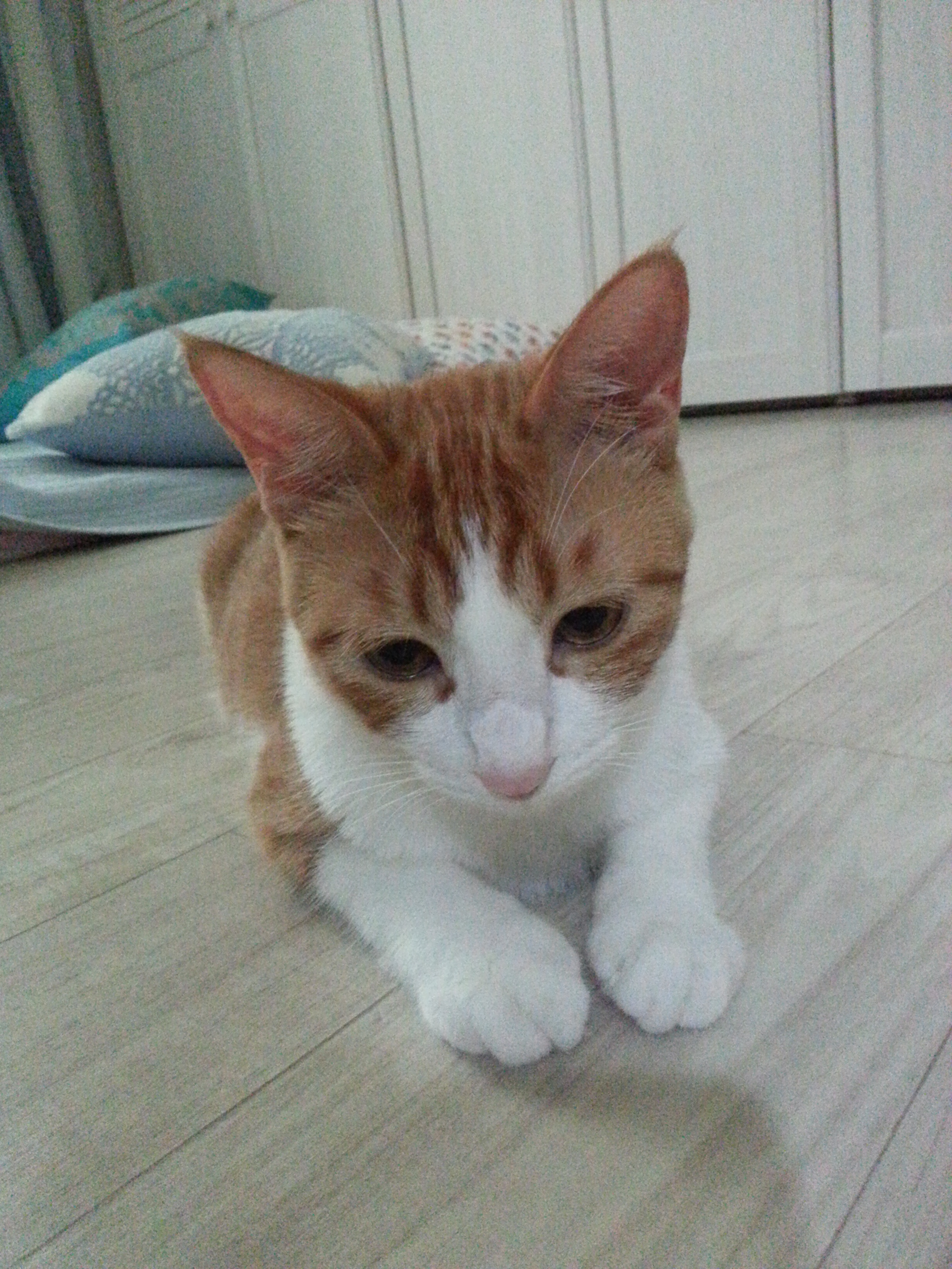 수피 오랜만에 인사드려요 ^^