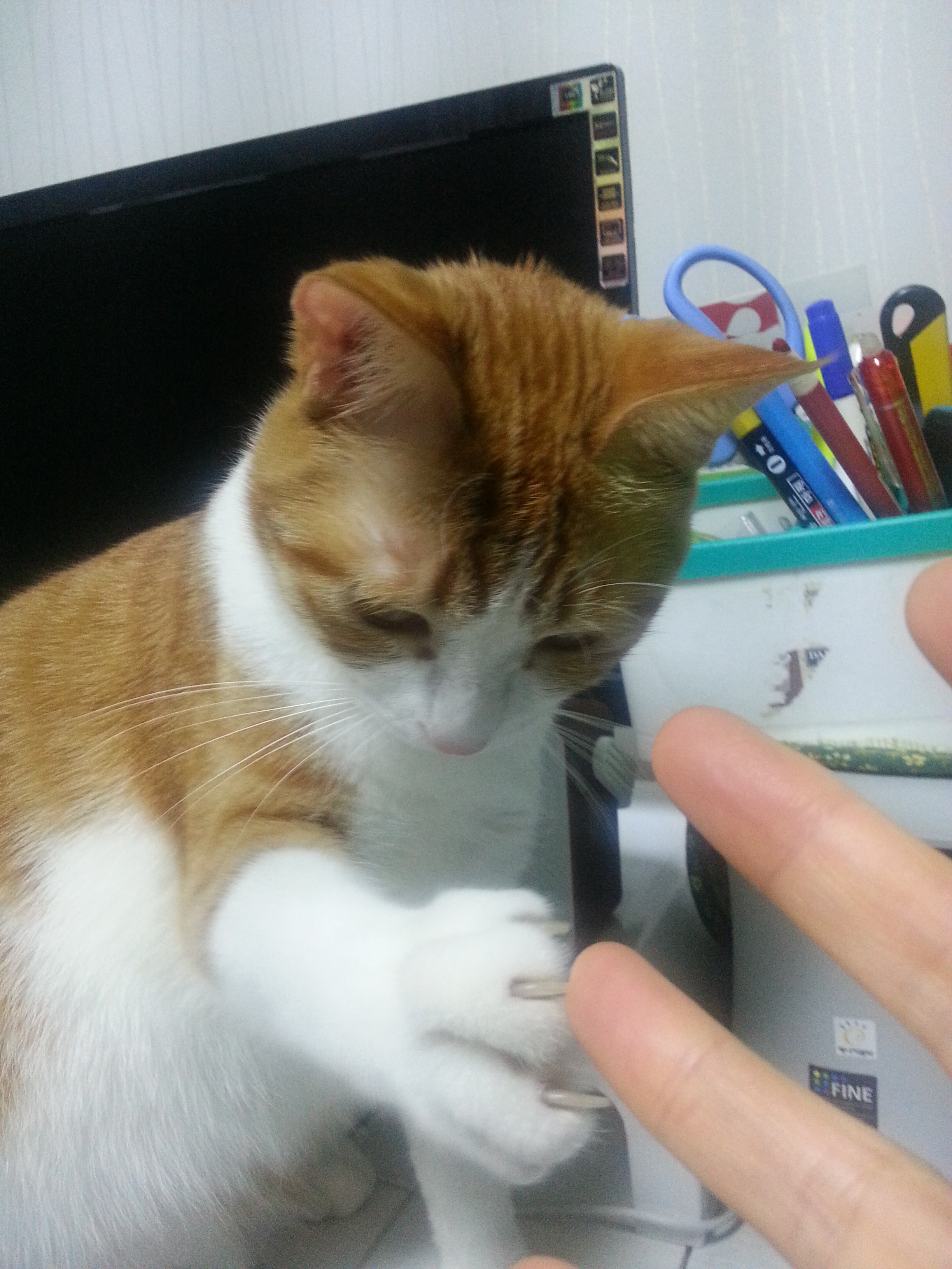 수피 오랜만에 인사드려요 ^^