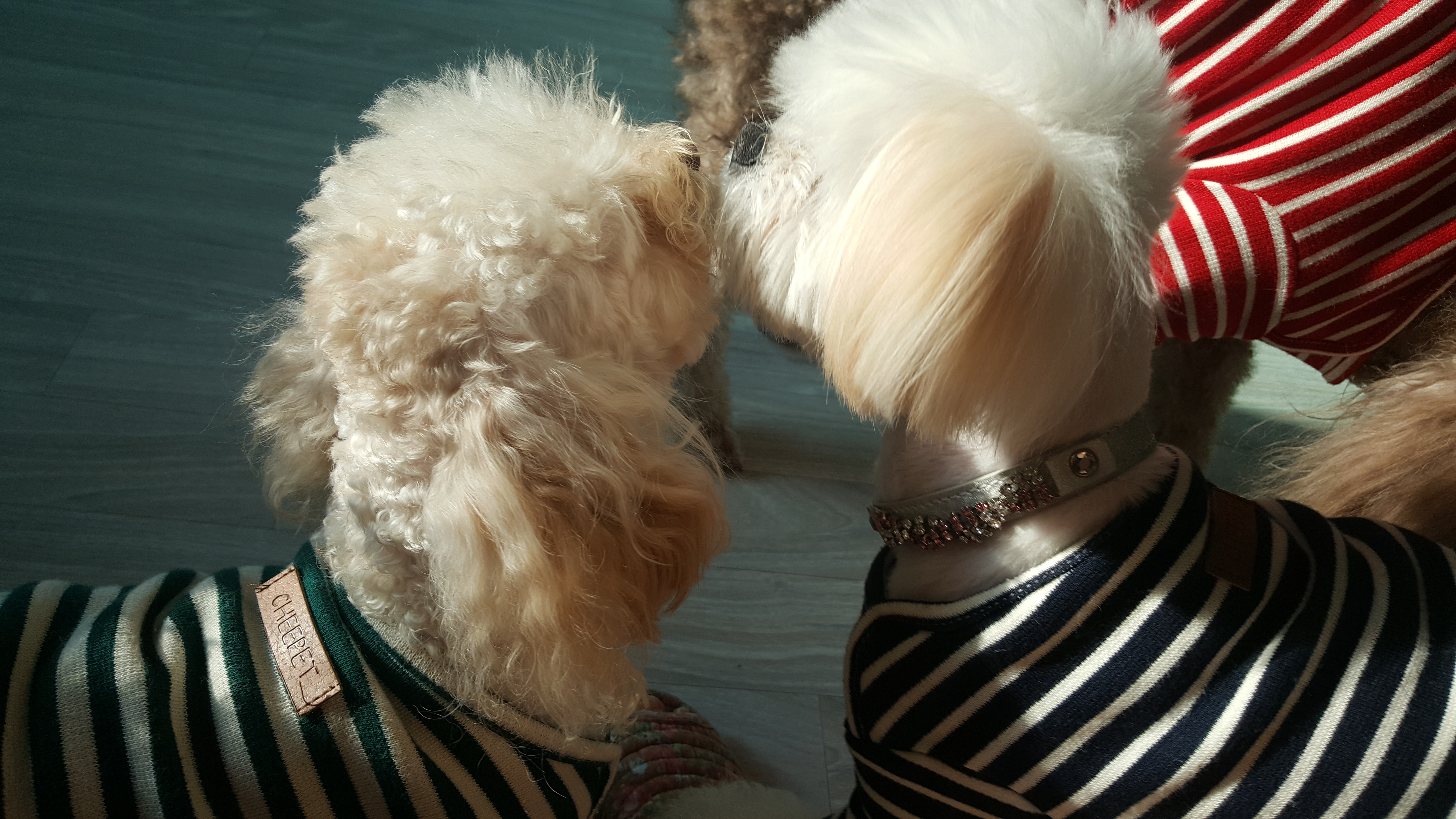 하람이는 잘 적응하고 있어요~~~