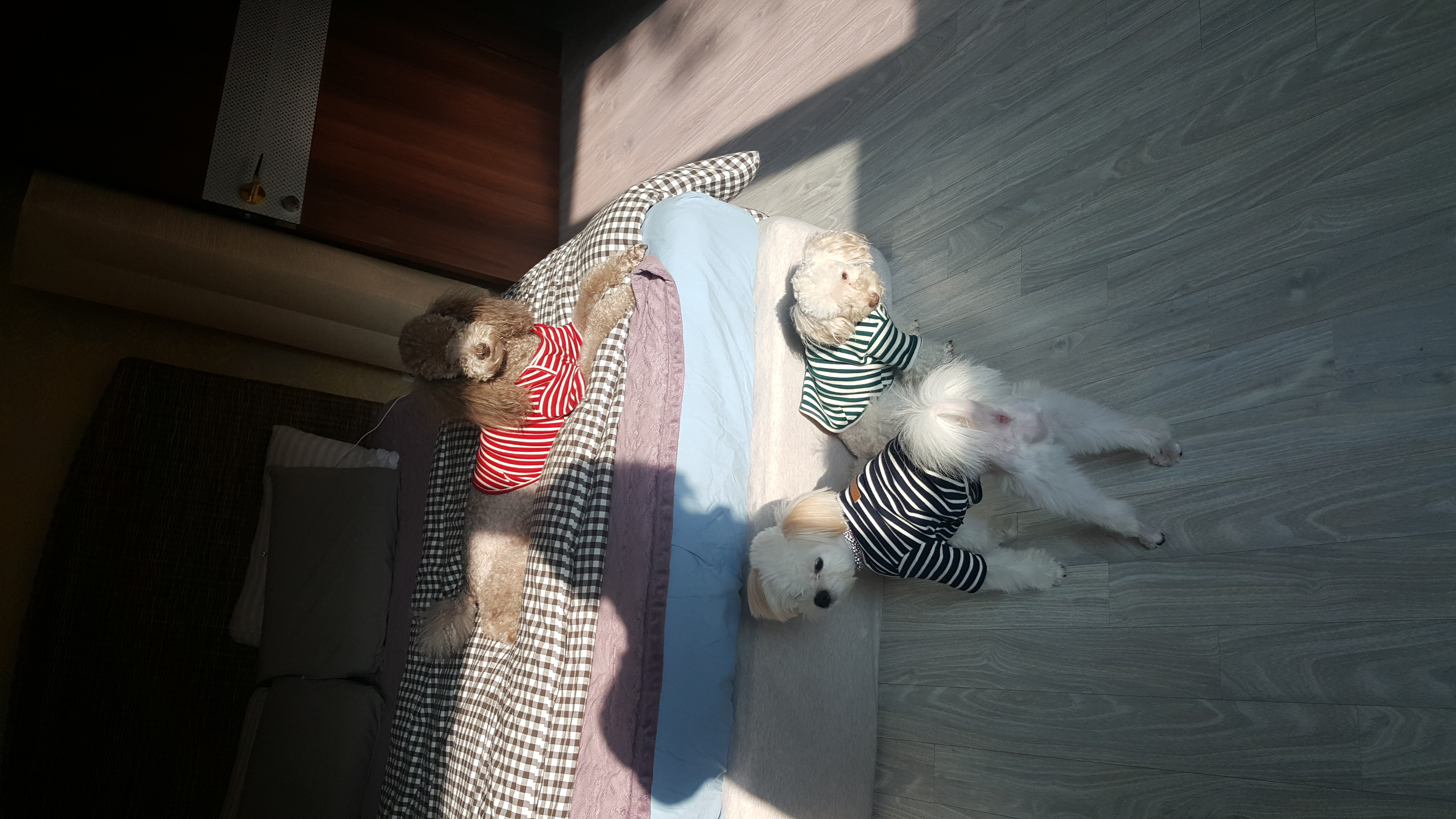 하람이는 잘 적응하고 있어요~~~